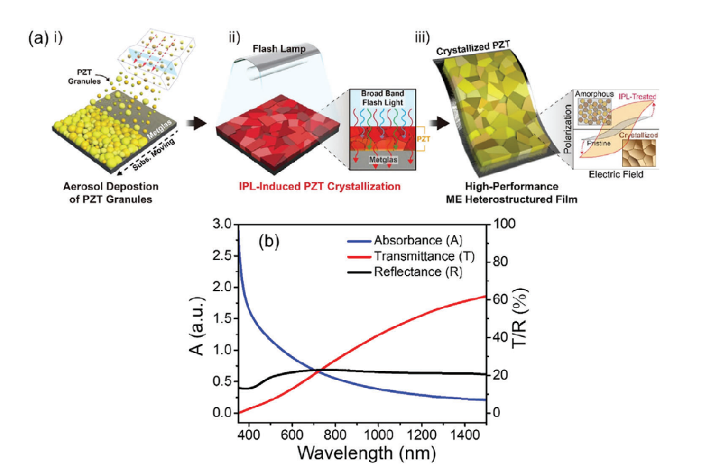 《Advanced Material》：采用光子燒結(jié)熱處理Pb（Zr，Ti）O3/Metglas異質(zhì)結(jié)構(gòu)薄膜會(huì)產(chǎn)生超過20Vcm?1Oe?1的極大磁電耦合（IF=29.477）